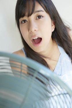 狗狗喜欢被主人摸哪里最舒服